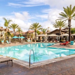 a pool with palm trees