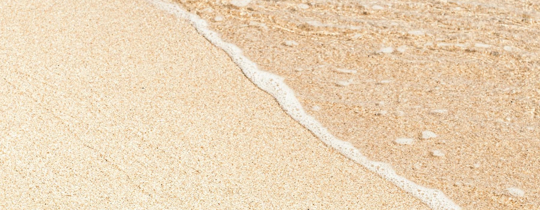 a close-up of a beach